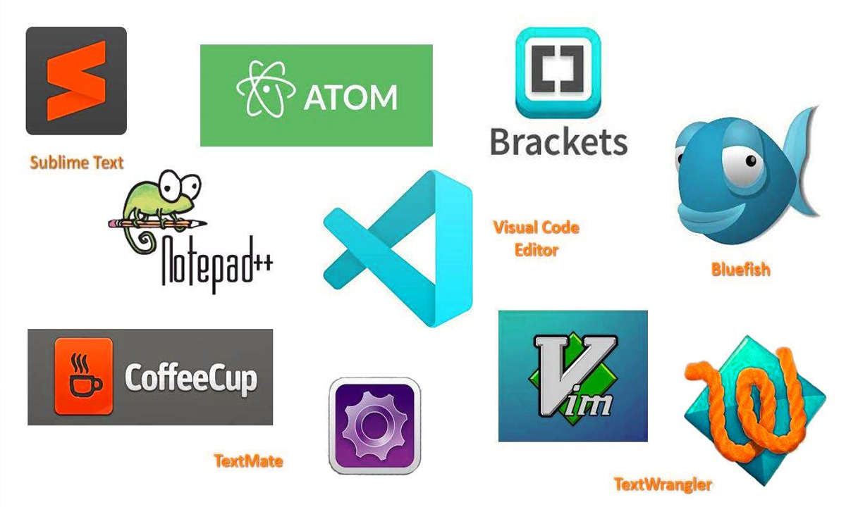 Code Editor Software